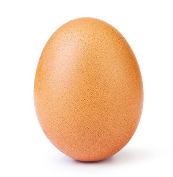 egg instagram